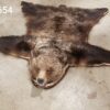grizzly bear rug