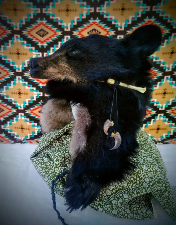 Black bear Head Hat - Image 2