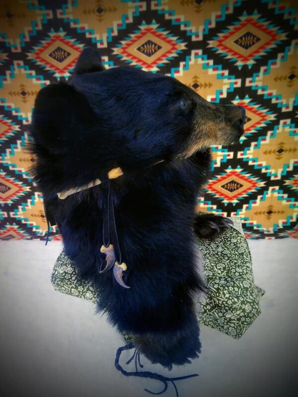 Black bear Head Hat - Image 5