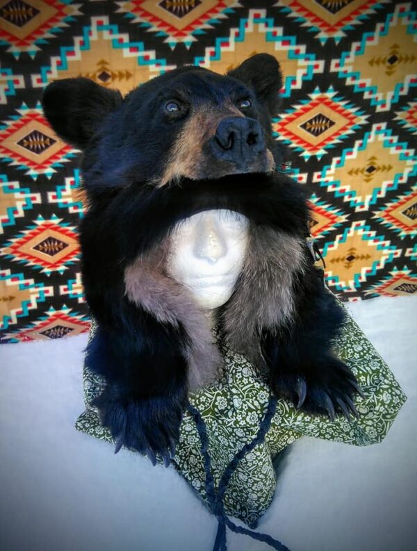 Black bear Head Hat - Image 3