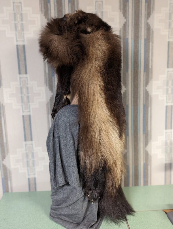 Wolverine Head Hat ( Full Body) - Image 7