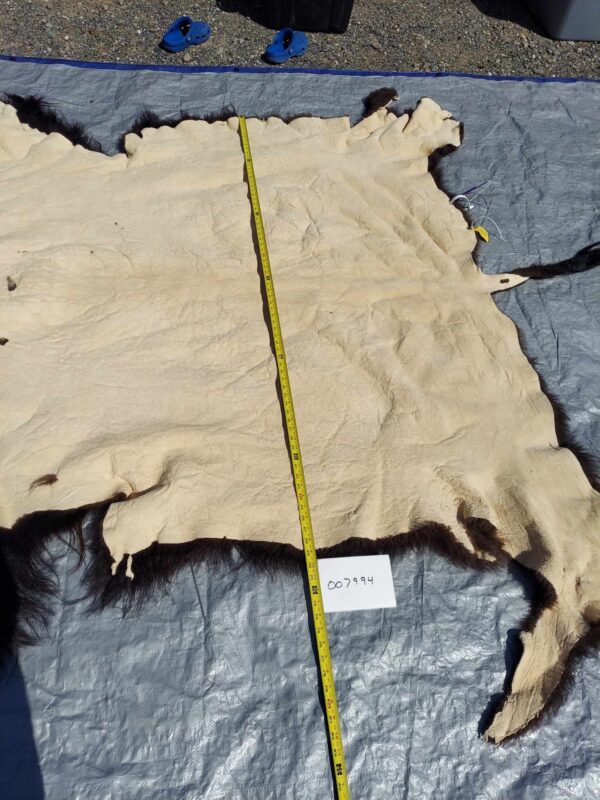 American Bison/ Buffalo fur 007994 - Image 6