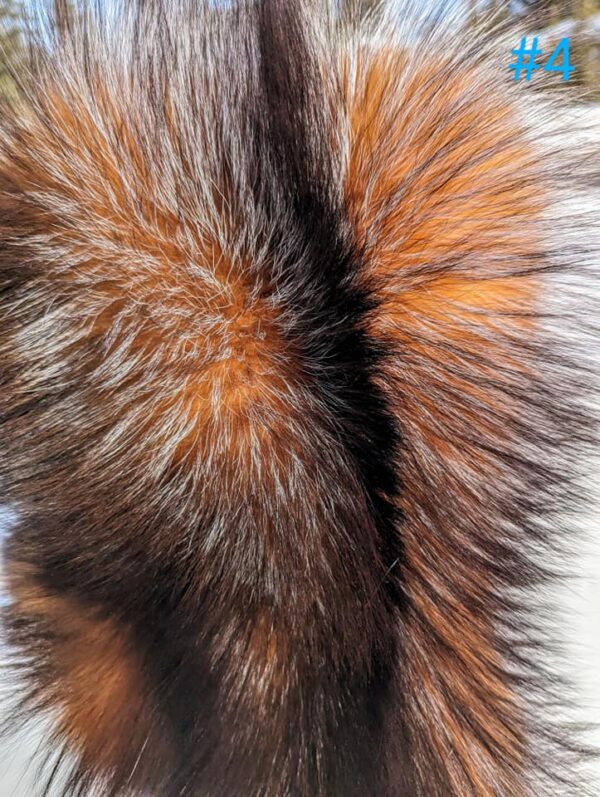 Crystal Fox Fur Pelt #4 - Image 3