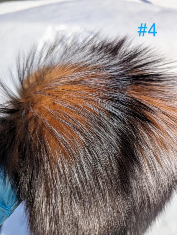 Crystal Fox Fur Pelt #4 - Image 2