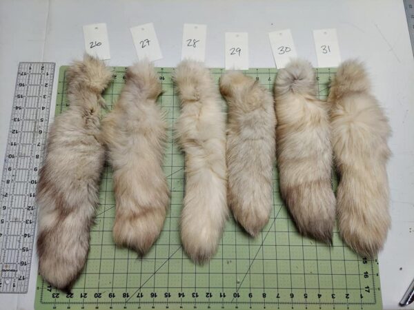 Blue Fox Tail - Image 6