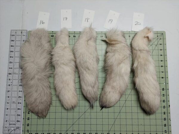 Blue Fox Tail - Image 4