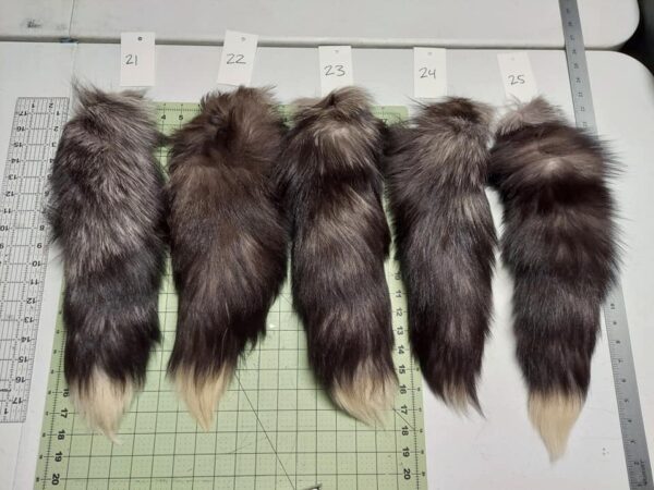Silver Fox Tail - Image 5