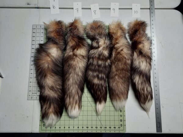 Crystal Fox Tails - Image 2