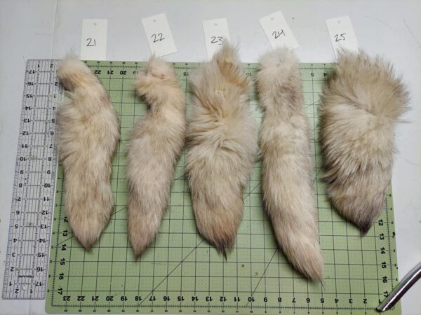 Blue Fox Tail - Image 5