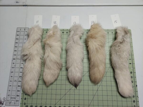 Blue Fox Tail - Image 3