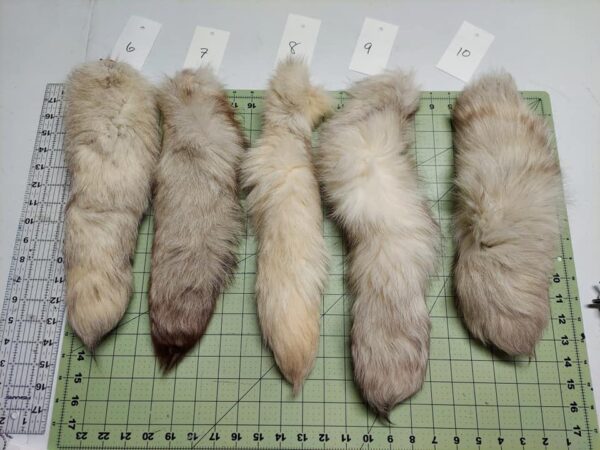 Blue Fox Tail - Image 2