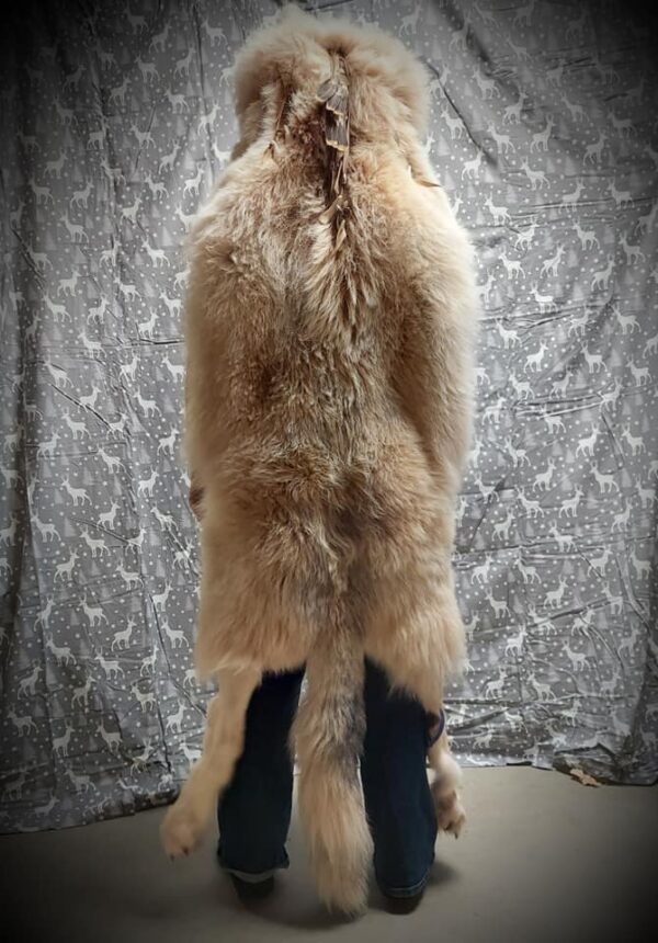 spectacular white arctic wolf shaman headdress Full length - Image 9
