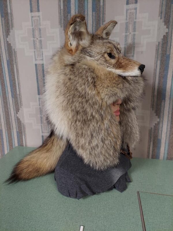 Coyote Head Hat - Image 4