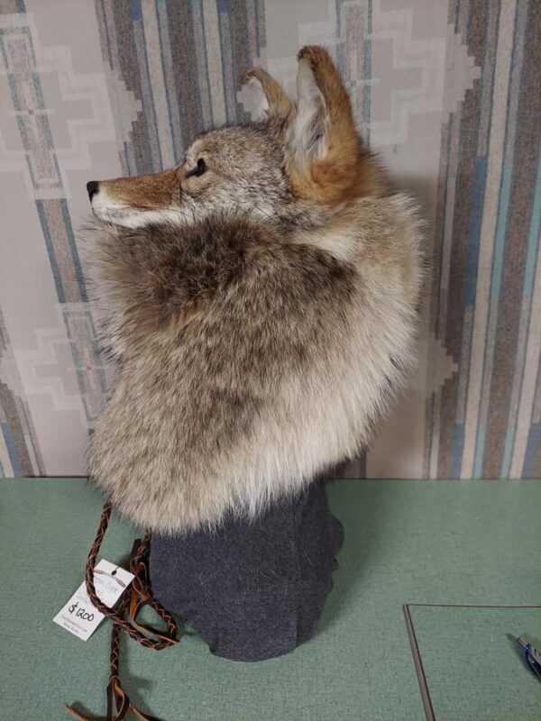 Coyote Head Hat - Image 2