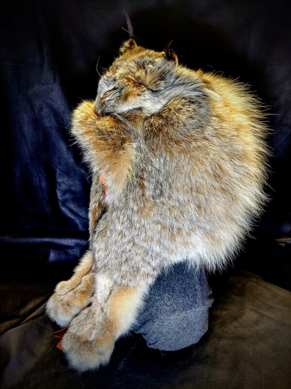 Alaskan Lynx Mountain Man Hat With Face - Image 4