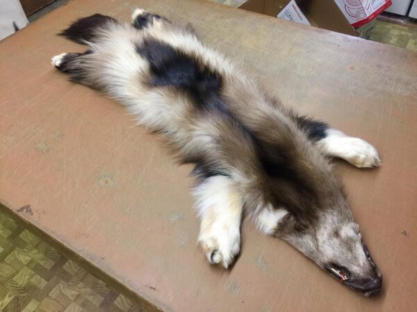 wolverine fur