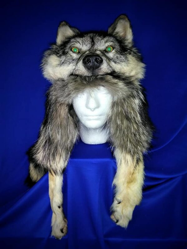 wolf