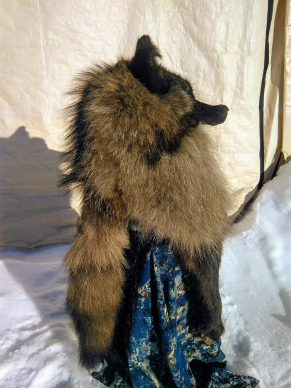 Black Wolf Head Hat - Image 7