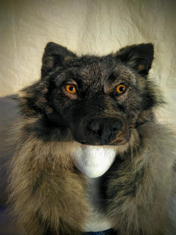 Black Wolf Head Hat - Image 3