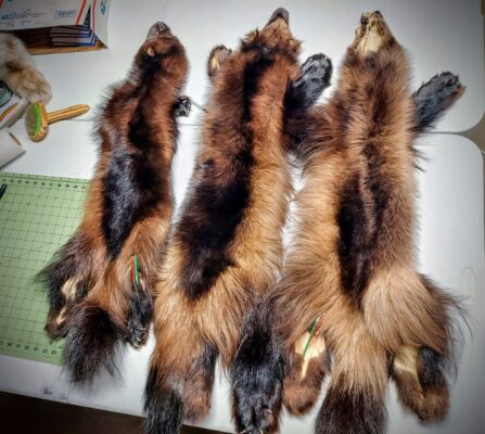 case pelt