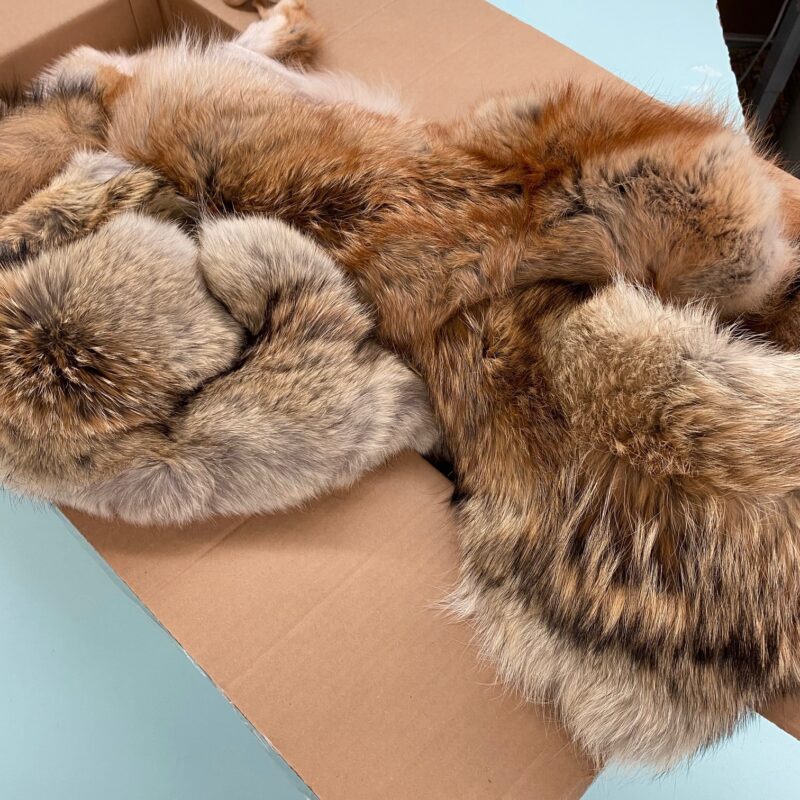 fur pelts for sale
